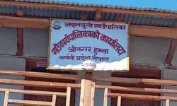 तीन महिनादेखि अदानचुली गाउँपालिका प्रमुख प्रशासकीय अधिकृतविहीन
