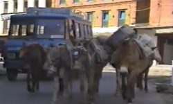 ‘अहिलेको मिन मार्ट, उहिले मिनबहादुर शेरचनको पसल’