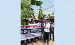 सडक निर्माणको माग गर्दै सडकमै रोपियो केराको बोट