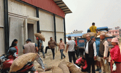 प्रयोगमा आयो शीतभण्डार, धमाधम आलु भण्डारण गरिँदै