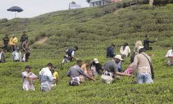 इलाममा रमाएर फर्किए राजदूतहरु