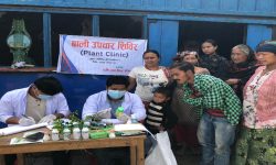 बाँकेका ग्रामीण भेगमा बाली उपचार शिविर