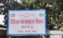 वन मुद्दाको फछ्र्योट गर्न ढिलाइ