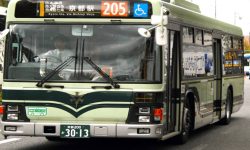 चालकले सात डलर चोर्दा ८४ हजार डलरको पेन्सन गुम्यो