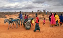 जलवायु प्रकोपका कारण विस्थापनमा वृद्धि भएको संयुक्त राष्ट्रसंघको भनाइ