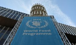 अमेरिकाको खाद्य सहायता कटौतीको सूचनाप्रति राष्ट्रसङ्घीय खाद्य एजेन्सी चिन्तित