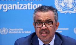 इजरायली नाकाबन्दीका कारण यूएन मिसनलाई गाजामा प्रवेशमा रोकावट