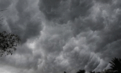 देशका अधिकांश भागमा जलवाष्पयुक्त हावाको प्रभाव