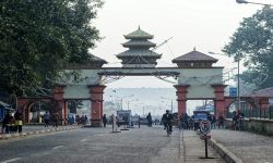 काँकडभिट्टाबाट पौने १८ अर्बको कृषिजन्य वस्तु निर्यात