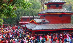 चैतेदसैँमा मात्रै ४२ लाख भेटी सङ्कलन