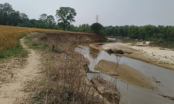 पशु प्रजनन कार्यालयको खेतीयोग्य जमिन कटानमा