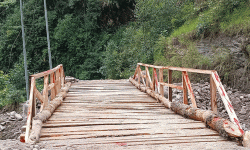 ढोरपाटन–गुर्जा पदमार्गमा काठे पुल निर्माण