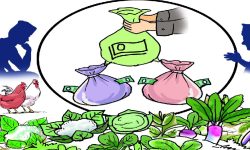 उद्यमी किसानलाई कृषि कर्जामा अनुदान