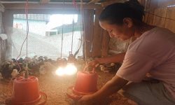 अनुदान दिएर उद्यम प्रोत्साहन गर्दै सूर्योदय नगरपालिका