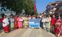 ‘लोकतन्त्रको विकल्प लोकतन्त्र नै हो’