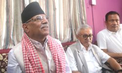 ‘पूर्वराष्ट्रपति, उपराष्ट्रपतिलाई पुनःराजनीतिमा फर्कन बन्देज छैन’