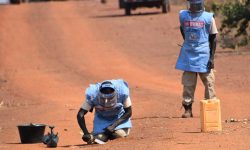 बारुदी सुरुङ जागरूकता दिवस आज