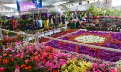 ‘दोस्रो नेशनल हर्टिकल्चर एक्स्पो–२०८१’ बिहीबारदेखि