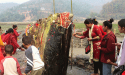 रूखको ठुटोबाट पानी आएको भन्दै स्थानीय चकित