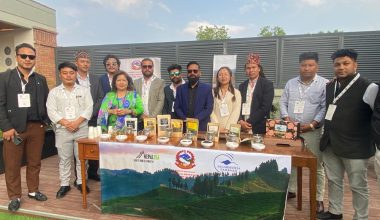 सगरमाथा संवादमा इलामे चियाको स्वाद