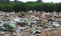 देशभरका ५६ स्थानीय तहमा प्लास्टिकजन्य फोहोरको अनुसन्धान