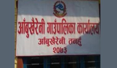 किसानले उत्पादन गरेका फापर गाउँपालिकाद्वारा खरिद