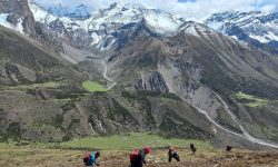 छेकम्पारका बासिन्दा यार्सागुम्बा सङ्कलन गर्न छेके र बाजु लेकतिर