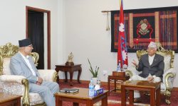 राष्ट्रपतिलाई आगामी बजेटबारे जानकारी