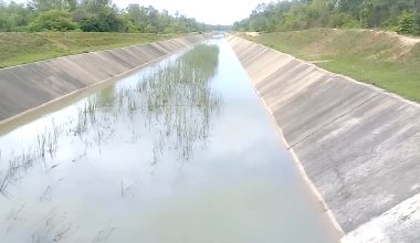 सिक्टा सिँचाइको पूर्वी मूल नहरमा शाखा नहर निर्माण सुरु