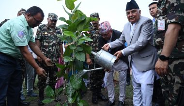 चुरे संरक्षणमा अनुशासन र कर्तव्यपरायणता आवश्यक : राष्ट्रपति पौडेल