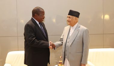 प्रधानमन्त्री ओली र तान्जानियाका उपराष्ट्रपति फिलिपबीच भेटवार्ता