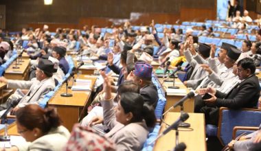 प्रतिनिधिसभाको बैठक बिहीबार सम्मका लागि स्थगित