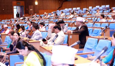 निजामती विधेयकलाई तत्काल प्रक्रियामा ल्याउन आग्रह