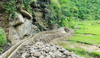 गण्डक नहरबाट पर्याप्त पानी उपलब्ध नहुँदा रोपाइँ गर्न समस्या