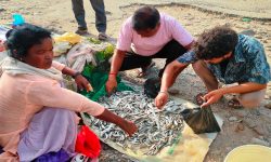 महाकालीको माछा बेचेर जीविका चलाउँदै