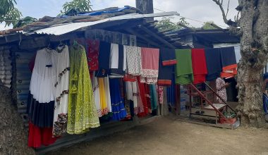 जातीय पोशाकबाट आम्दानी