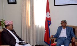 गृहमन्त्री लेखक र पर्यटनमन्त्री पाण्डेबीच मझगाउँ विमानस्थलबारे छलफल