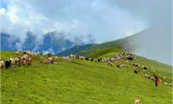 पदयात्रका लागि उत्कृष्ट गन्तव्य बन्दै ‘बुकीपाटन’