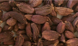 Cardamom worth Rs 7.67 billion exported from Kakadbhitta customs point