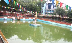 श्रावण शुक्ल पञ्चमीः घरघरमा नाग टाँसियो