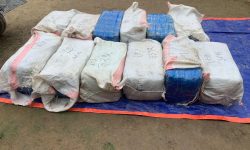 सप्तरीको नर्घोबाट तीन सय ८९ केजी गाँजा बरामद