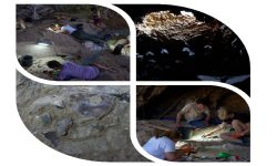 इजरायलको गुफामा प्राचीन हड्डी फेला, गाड्ने संस्कारको उत्पत्तिको सुराक पाएँ