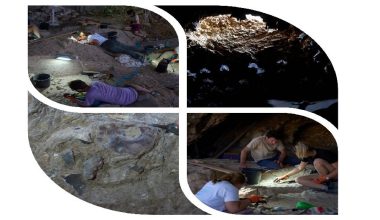 इजरायलको गुफामा प्राचीन हड्डी फेला, गाड्ने संस्कारको उत्पत्तिको सुराक पाएँ