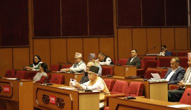 राष्ट्रियसभामा ज्येष्ठ नागरिकसम्बन्धी जरुरी सार्वजनिक महत्त्वको प्रस्ताव प्रस्तुत