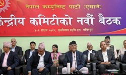 एमाले केन्द्रीय कमिटी बैठक : विधान संशोधनसहित आठबुँदे प्रस्ताव पारित