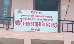 पाडीबाच्छी हुर्काउन ३० लाख अनुदान