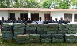 धनुषाबाट १३ लाख भन्दा बढी मुल्यको काजु बरामद