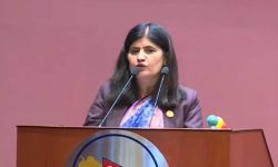 ‘सङ्घीयता बलियो बनाउन कर्मचारीको महत्त्वपूर्ण भूमिका हुन्छ’