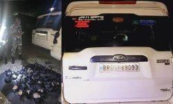 स्कारपियो गाडीमा फल्स बटम बनाई ल्याउँदै गरेको ठुलो परिमाणको लागूऔषधसहित चार जना सशस्त्र प्रहरीको नियन्त्रणमा