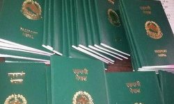 एक वर्षमा उदयपुरका आठ हजार बढीले लिए राहदानी